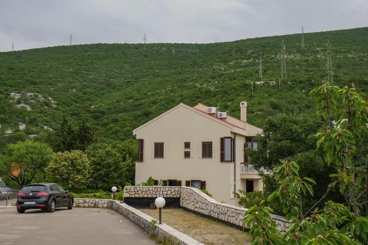 Apartment Ivana *